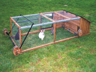 Cresterea iepurilor pe pasune in custi mobile | Ferma