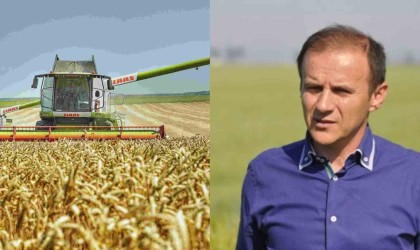 Cornel Stroescu: Producţia de grâu e la jumătate, faţă de anul trecut!