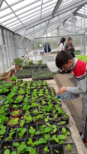 Ciumbrud_Activitate sera_b