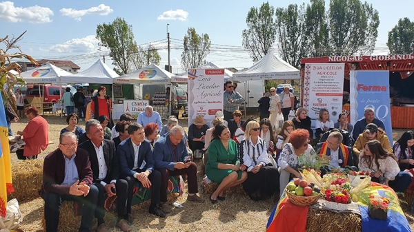 ziua liceelor_alba iulia_2_b