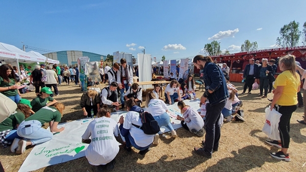 ziua liceelor_alba iulia_5_b